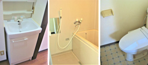 �R�a�s���Y�b���R�s�b���݃A�p�[�g