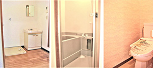 �R�a�s���Y�b���R�s�b���݃A�p�[�g